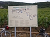 2008 juin bourgogne 060.jpg